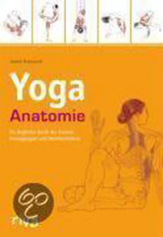 Betrouwbaar Yoga-Anatomie