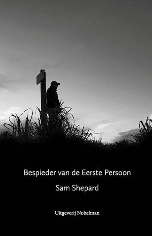 Bespieder van de Eerste Persoon Veilige Betaling
