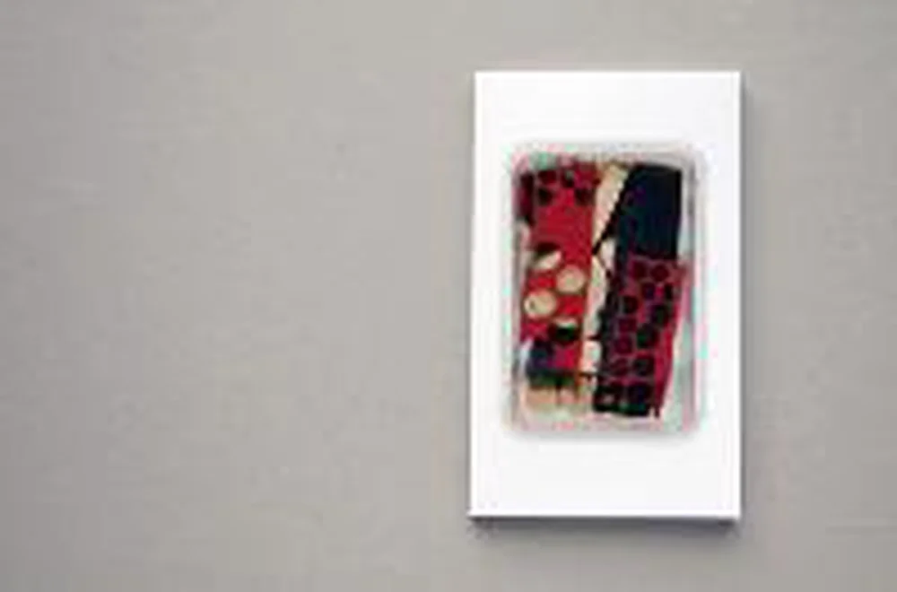 Zien, doen, denken Snelle Levering