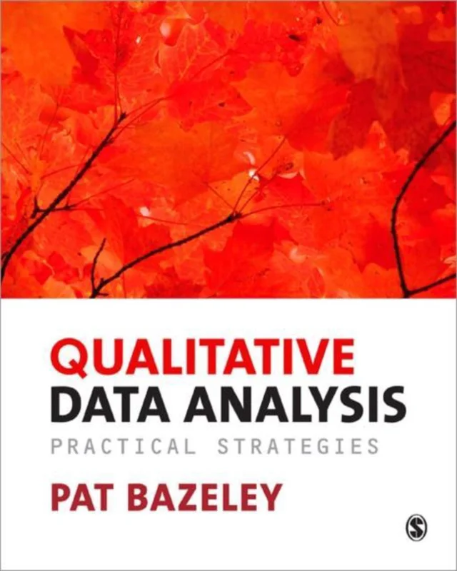 Veilige Betaling Qualitative Data Analysis