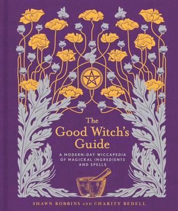The Good Witch's Guide Goedkoop