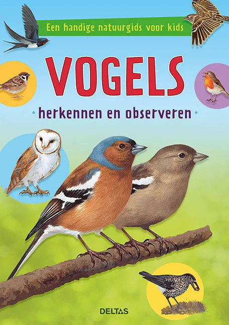 Express Levering Vogels herkennen en observeren / Een handige natuurgids voor kids