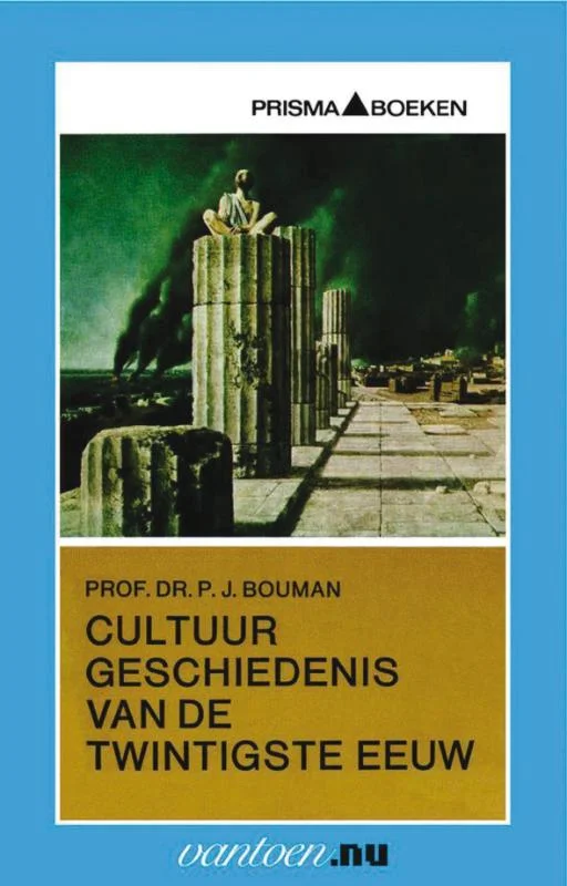 Betaalbaar Cultuurgeschiedenis van de twintigste eeuw / Vantoen.nu