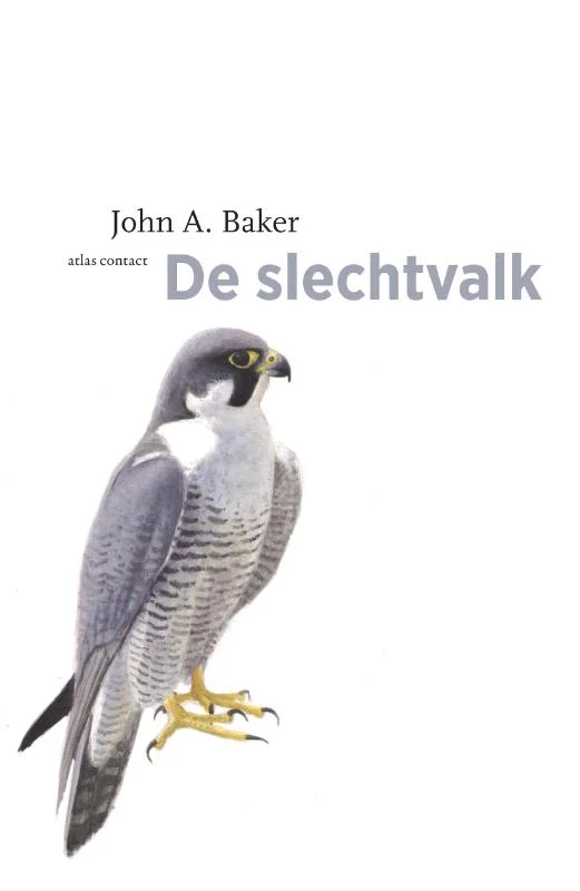 Bestseller De slechtvalk / De vogelserie / 3