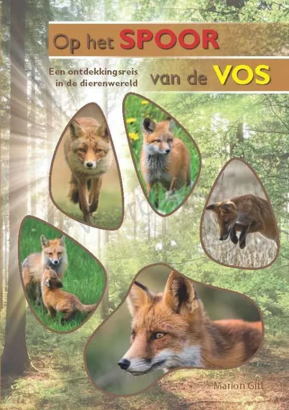 Betaalbaar Op het spoor van de vos – Een ontdekkingsreis in de dierenwereld