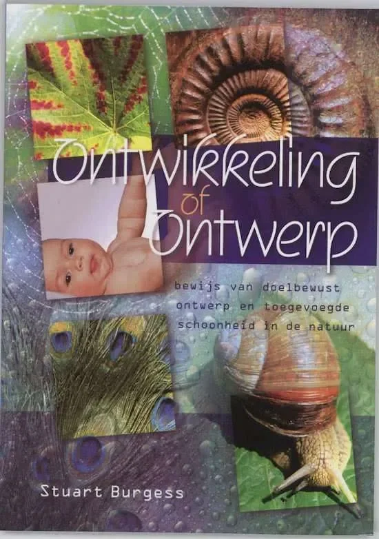 Ontwikkeling of Ontwerp Uitverkoop