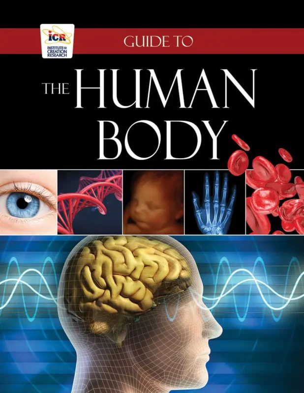 Merkproduct Guide to the Human Body